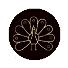 thilli pandias